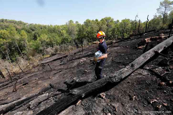 « C’est grâce à ce traitement de fond que le feu sera définitivement fixé » : les pompiers mobilisés jour et nuit pour noyer les lisières de l’incendie de Pontevès