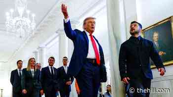 Zelensky arrives in US for Trump meeting, Graham funeral