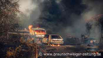 „Die Hölle existiert“: Spaniens Waldbrand-Betroffene stehen vor dem Nichts