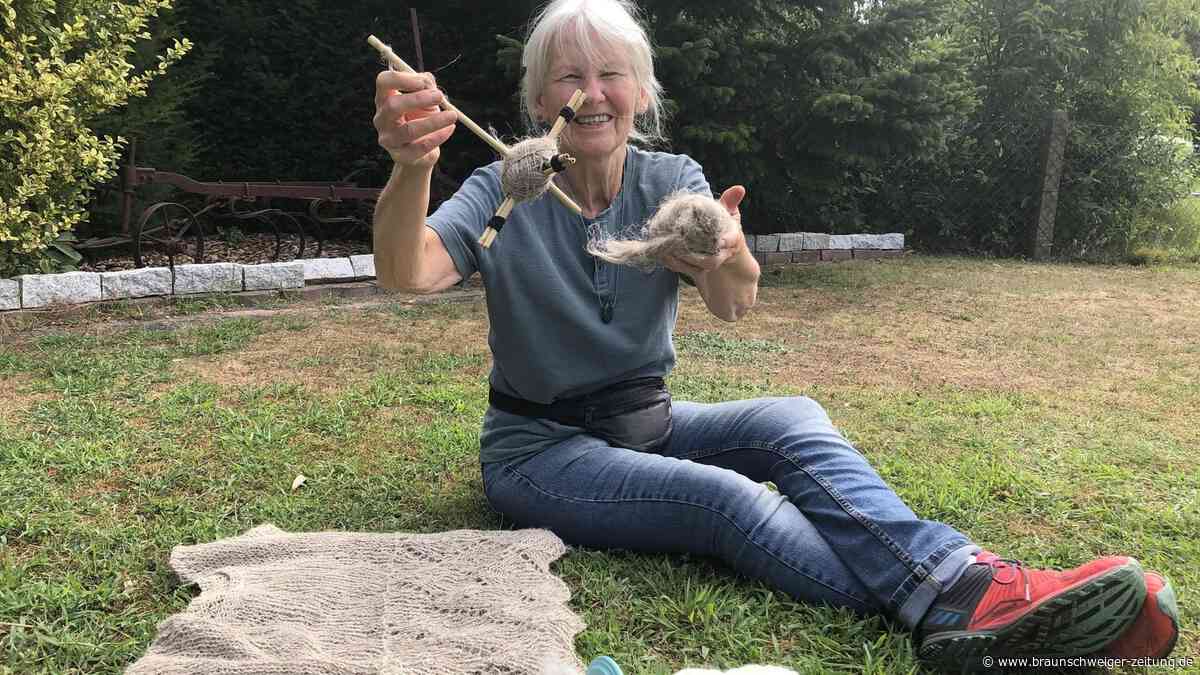 Flachs-Anbau: Peinerin fördert die Rückkehr einer alten Kulturpflanze