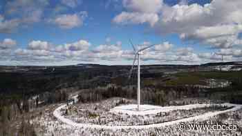 Leaders in northeast B.C. push back against province's plan to fast track new wind farms
