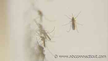Mosquitoes test positive for West Nile virus in East Haven