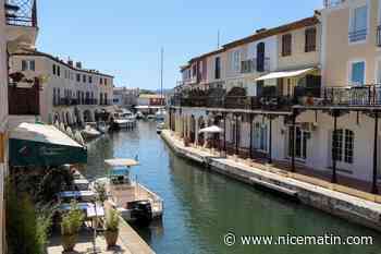 60 ans de Port Grimaud : comment la biodiversité s’est adaptée dans cet espace passé de marécage à cité lacustre ?