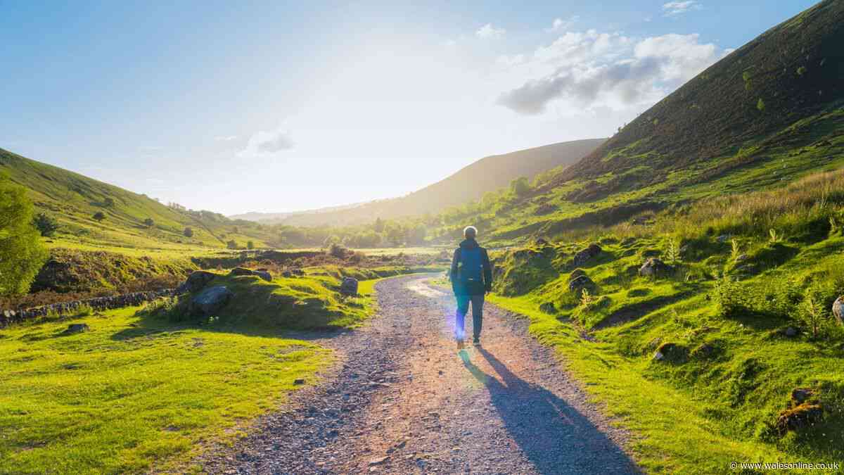 Lesser-known walking trail with gorgeous nature and forest full of wildlife