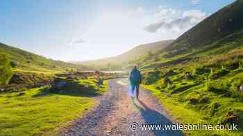 Lesser-known walking trail with gorgeous nature and forest full of wildlife