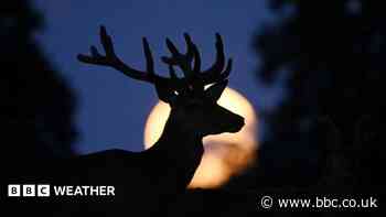 How to see July's full Buck Moon as it rises in the night sky