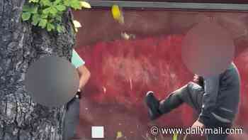 Moment gang of youths laugh while they destroy town centre flower bed