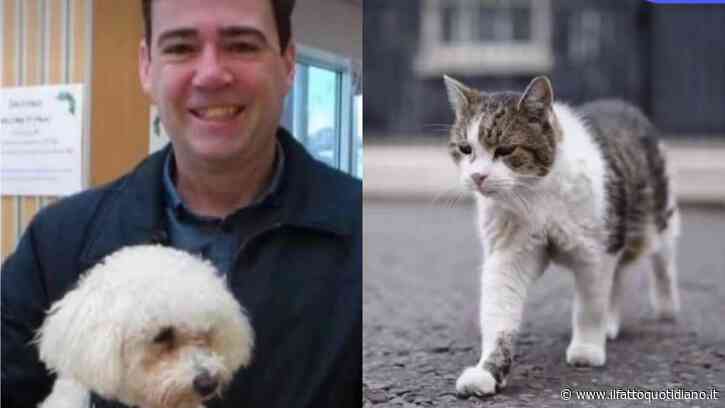 Axel, il cane del nuovo premier Andy Burnham non può vivere a Downing Street: ecco perché e dove resterà