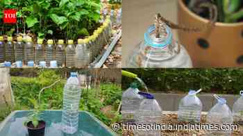 DIY water drip system for your mini garden: Turn plastic bottles and thread into a simple self-watering setup