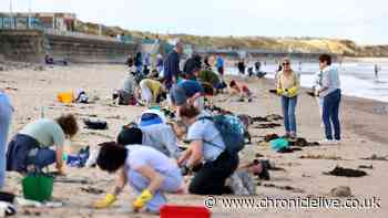 How you can help with cleaning up nurdles that have washed up on North East beaches