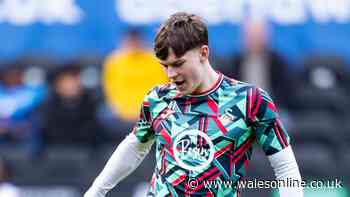 Swansea City announce exit as rising youngster leaves on loan
