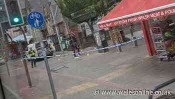 Busy Cardiff street cordoned off after stabbing outside school
