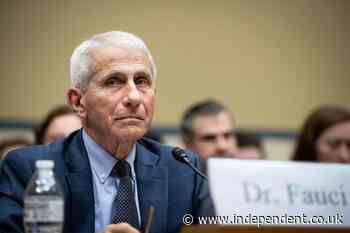 Anthony Fauci grew increasingly annoyed by ‘obnoxious adolescent’ Trump as Covid pandemic spiraled, diary reveals