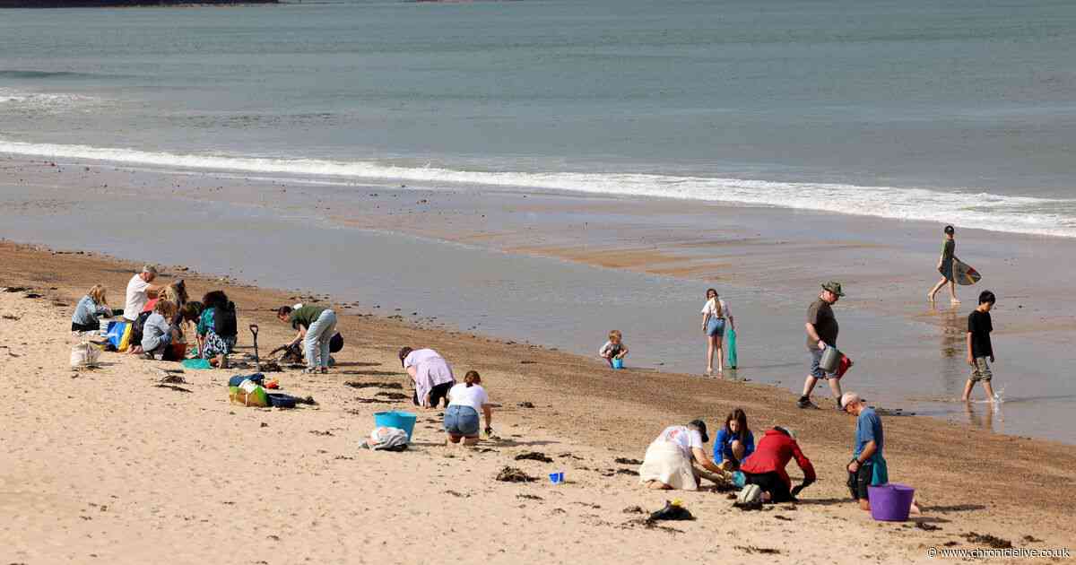 Whitley Bay beach clean-up ongoing with volunteers removing thousands of nurdles