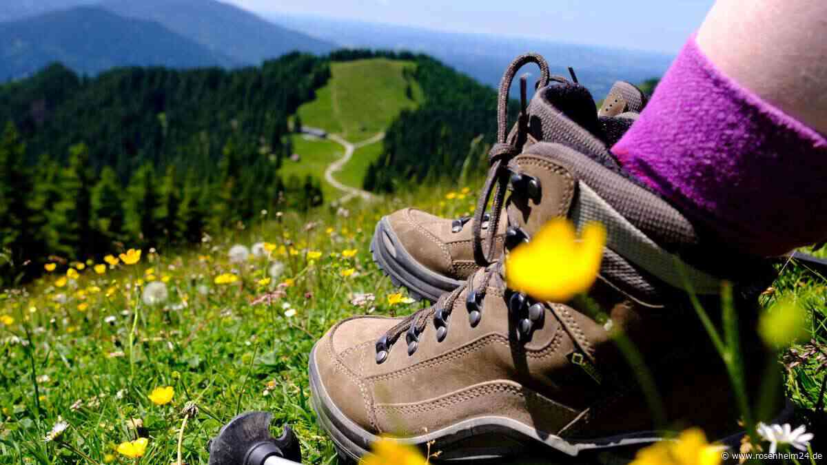 Wanderer kassiert Tritt von Pony und „fliegt“ steilen Hang hinab – Hubschraubereinsatz