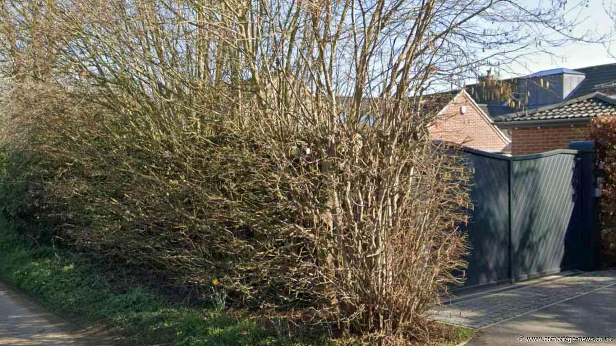 Man told to tear down metal fence put up without planning permission