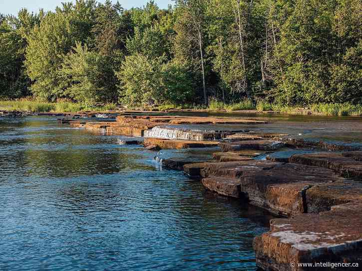 Family fun coming to Vanderwater Conservation Area Aug. 11