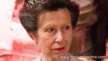 Princess Anne's very rare Disney princess moment in fairytale ruffled ballgown