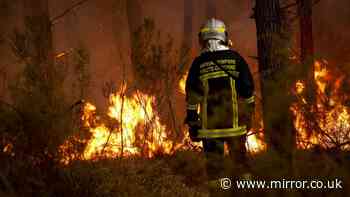 Are you worried your holiday plans could be affected by France and Spain wildfires?
