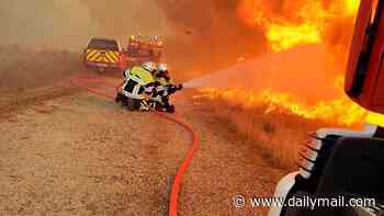 Raging French wildfire closes in on missile and rocket factories as 4,000 are evacuated from beach resort