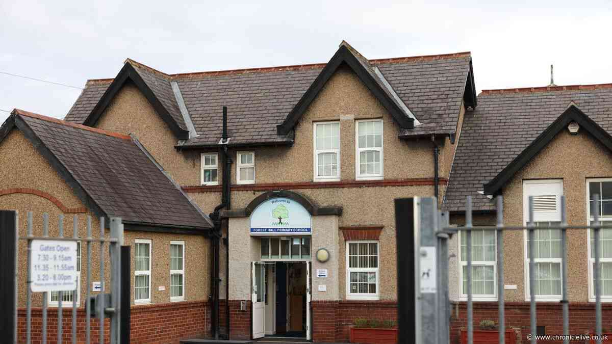 Public to have say on North Tyneside SEND pupil relocation