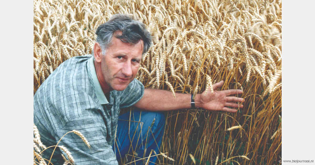 In memoriam: Jan Willem Jonkman (1937–2026)