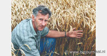 In memoriam: Jan Willem Jonkman (1937–2026)