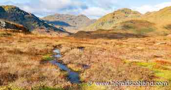 1,200 hectares of degraded estate peatland to be restored in new plans