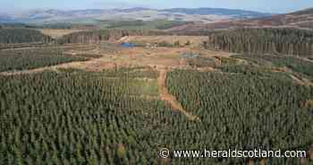 Investment firm grows portfolio with 336-acre Scottish Borders forest purchase