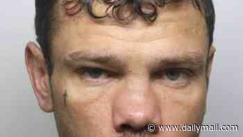 Man admits taking ambulance from outside hospital with sick patient still inside