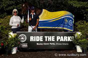 Pursuit: Sudbury’s Adrian Ceccetto competing in ‘Young Riders Show’ in Michigan