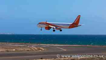 Two airports in Spain named by UK tourists as 'worst' for passport delays