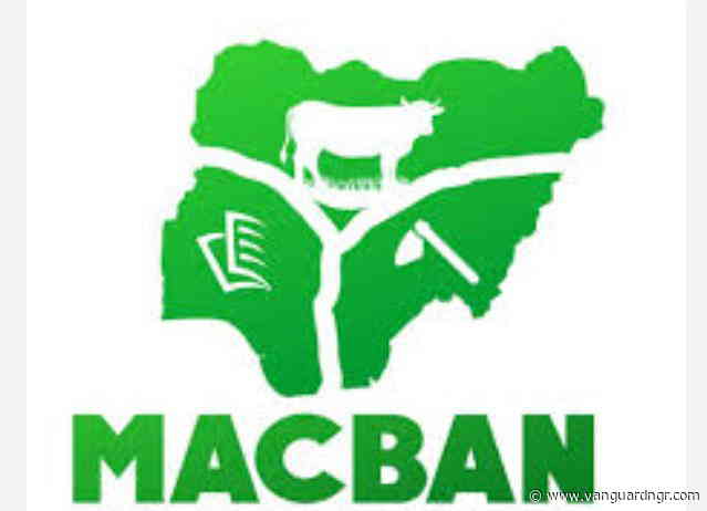 Two sons of South-East MACBAN chairman killed in reported attack on Enugu cattle camp