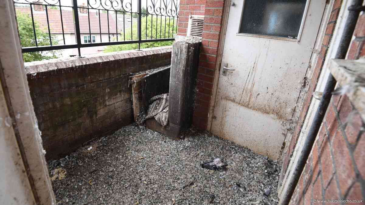 Man couldn't believe what he found when he returned to his flat