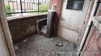 Man couldn't believe what he found when he returned to his flat