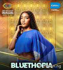 BBNaija S11: Why I adopted the name ‘Bluethopia’ — Housemate
