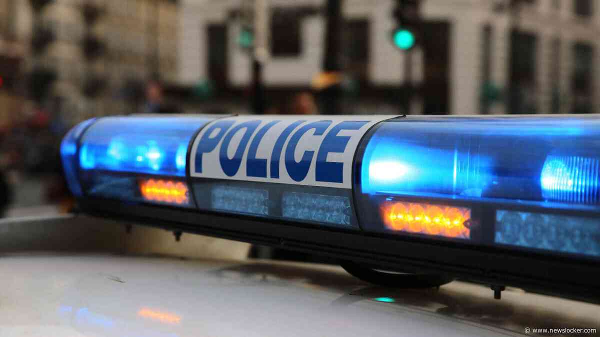 Franse politie opent moordonderzoek: vijf dode pasgeboren baby’s, stoffelijke resten in kartonnen dozen