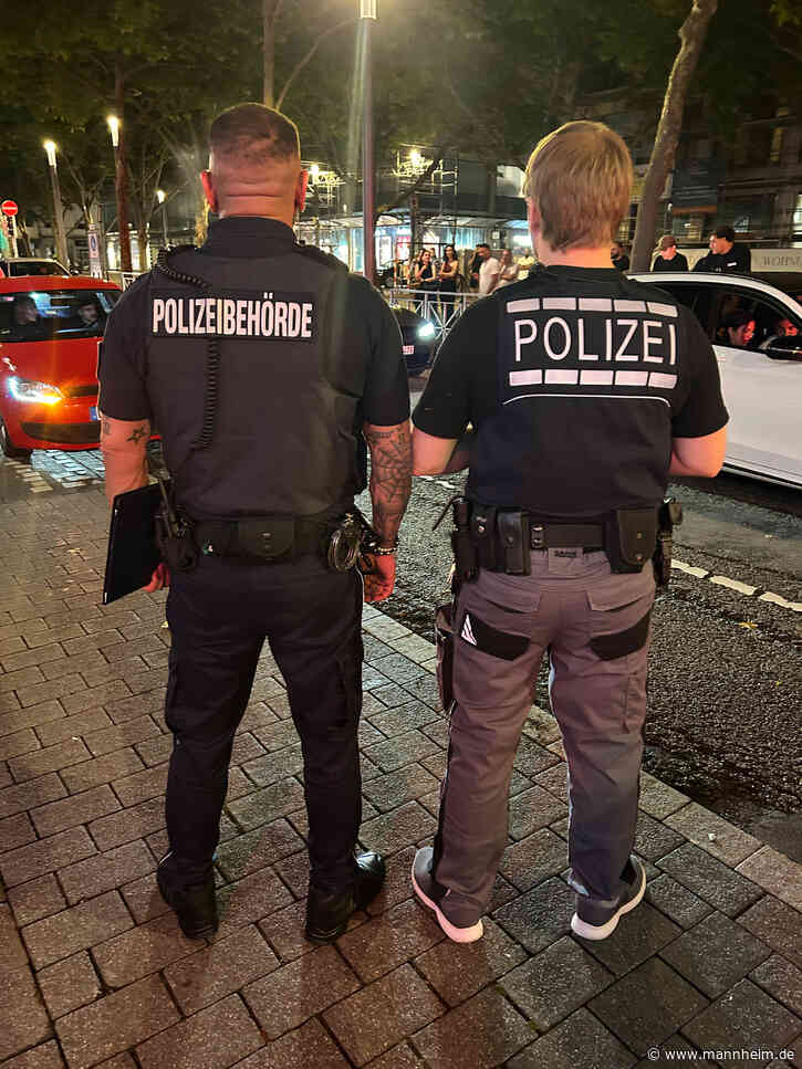Bilanz der Schwerpunktkontrolle „Poser“