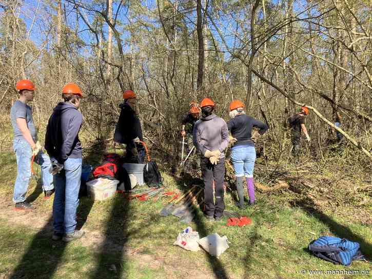 Arbeitseinsatz im Dossenwald