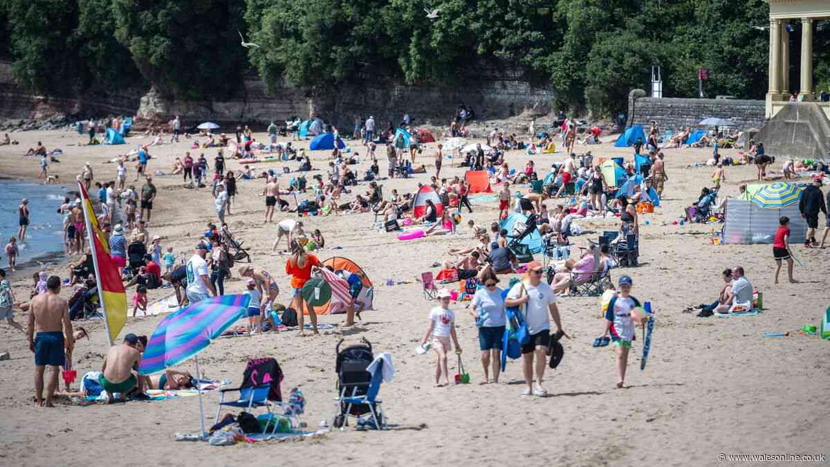 Health plea as hepatitis A outbreak in Barry continues