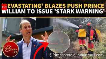 Prince William Issues Stark Wildfire Warning As 'Devastating' Blazes Sweep Europe
