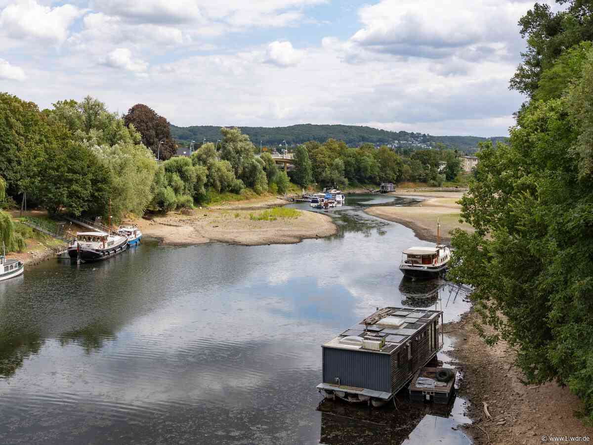 Besondere Eindrücke vom Niedrigwasser am Rhein