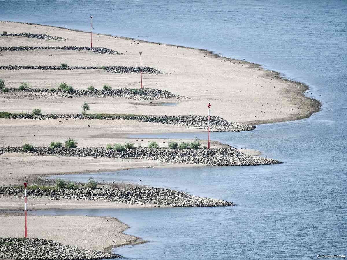 Eindrücke vom Niedrigwasser: Der Rhein zeigt sein Bett