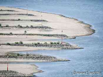 Eindrücke vom Niedrigwasser: Der Rhein zeigt sein Bett