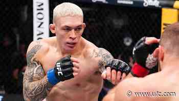 Fighters on the Rise | UFC Belgrade