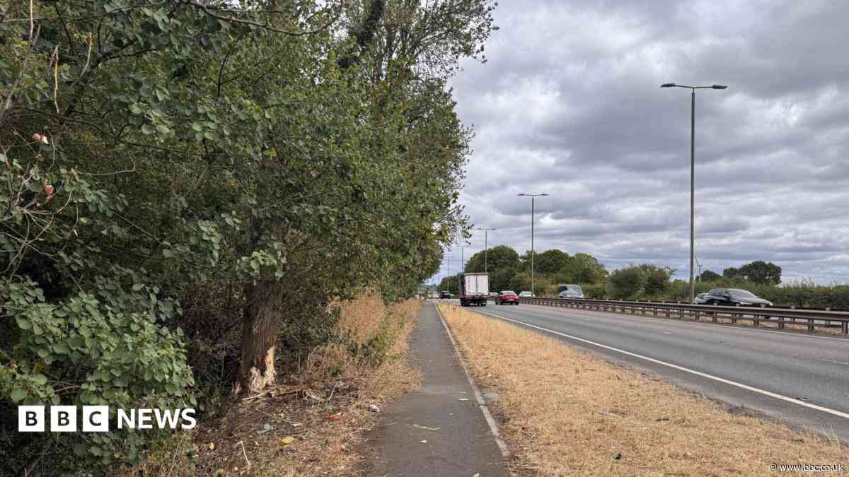Tributes to 'selfless' family killed in crash