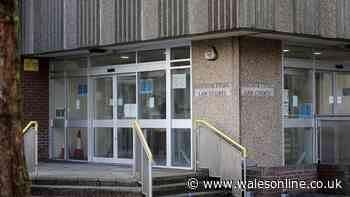 Man repeatedly sexually assaulted young girl and tried to rape her