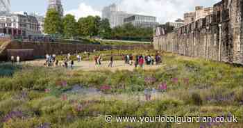 'Noticeable changes' - how iconic London landmark's moat is set to be transformed