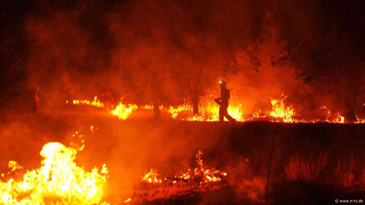 Karten zeigen ungekanntes Ausmaß: Waldbrände in Spanien und Frankreich: Früher, größer, stärker