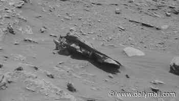 Mysterious object in NASA Mars photo ignites theories of extraterrestrial life on the Red Planet